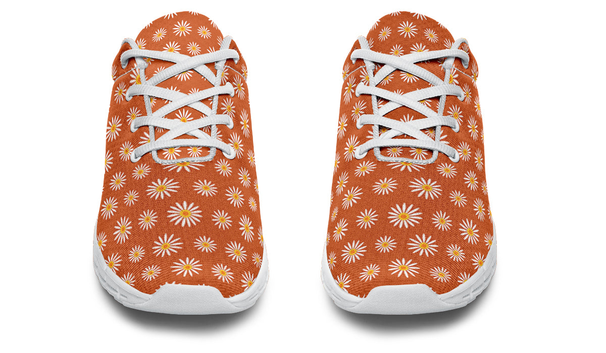 Daisies on Orange