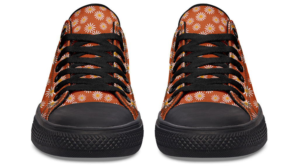 Daisies on Orange
