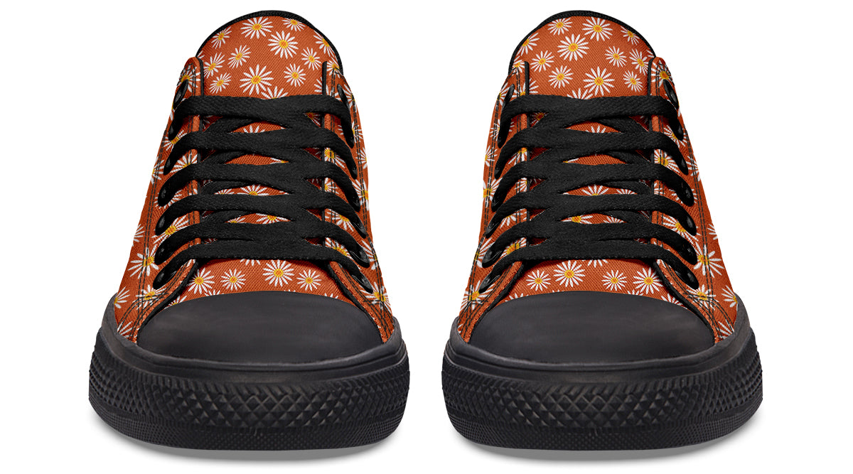Daisies on Orange