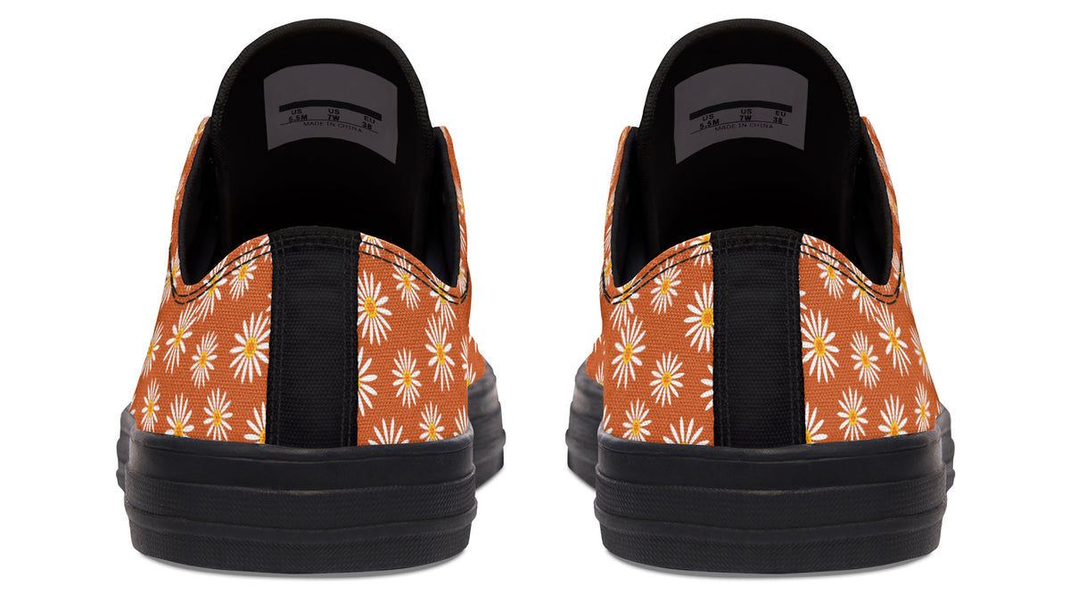 Daisies on Orange