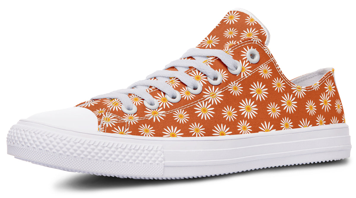Daisies on Orange