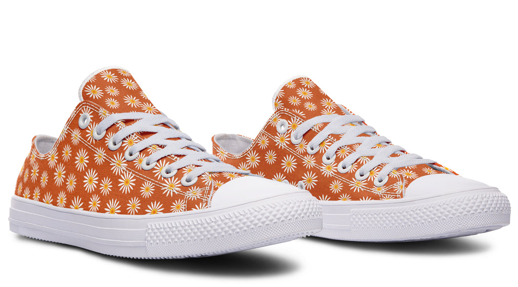 Daisies on Orange