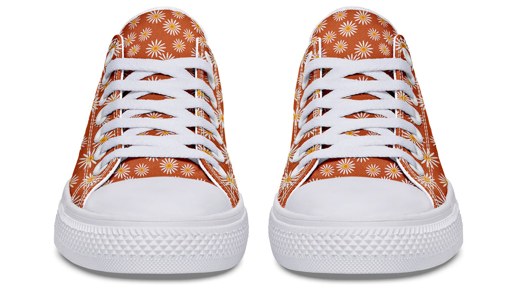 Daisies on Orange