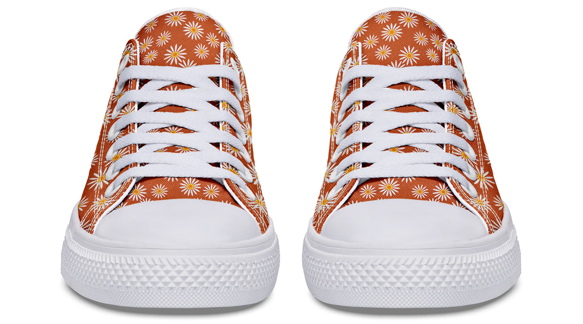 Daisies on Orange