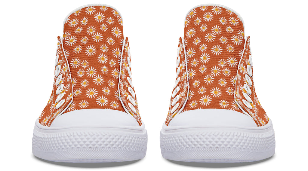 Daisies on Orange