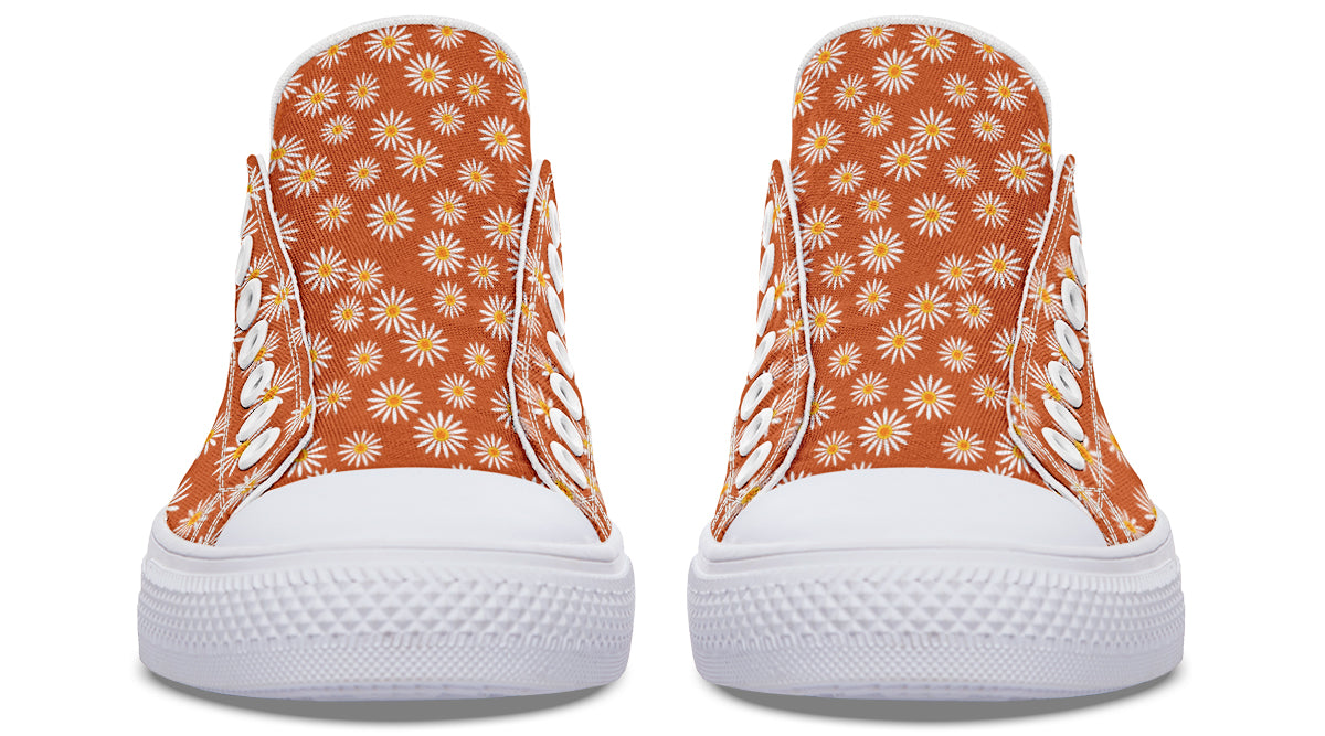 Daisies on Orange
