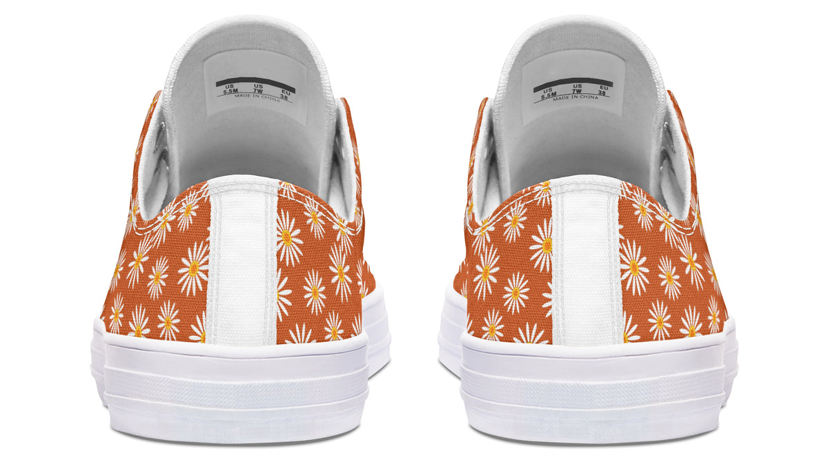Daisies on Orange