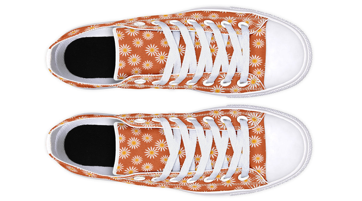 Daisies on Orange