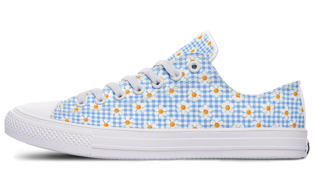 Painted Daisy Gingham
