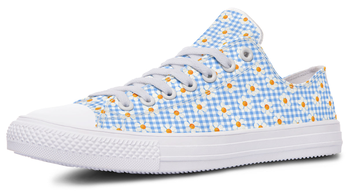 Painted Daisy Gingham