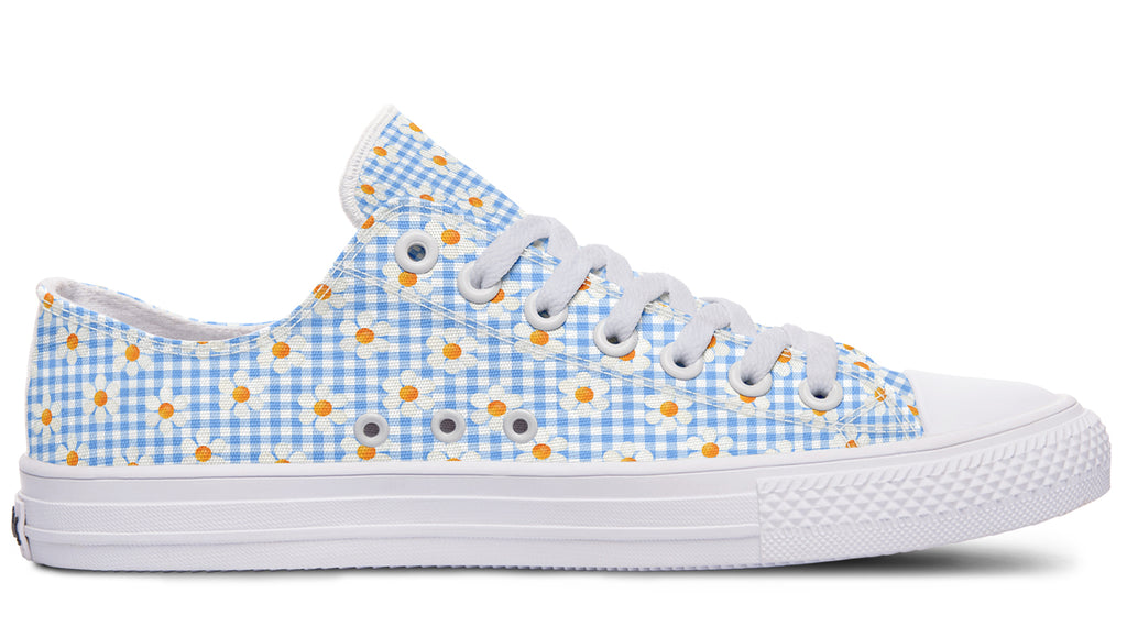 Painted Daisy Gingham