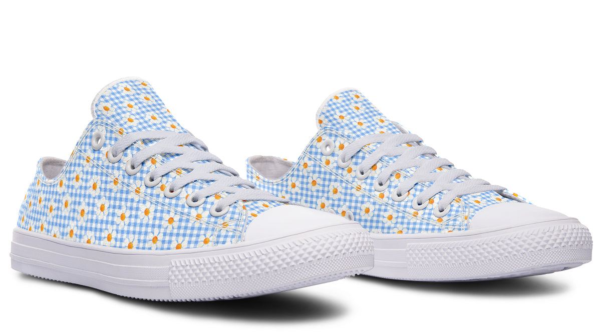 Painted Daisy Gingham