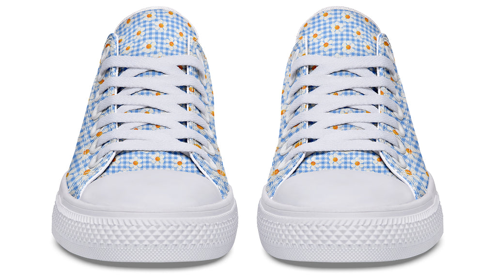 Painted Daisy Gingham