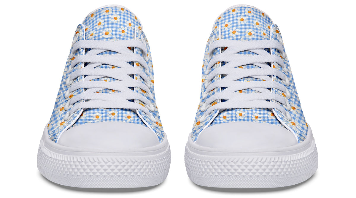 Painted Daisy Gingham