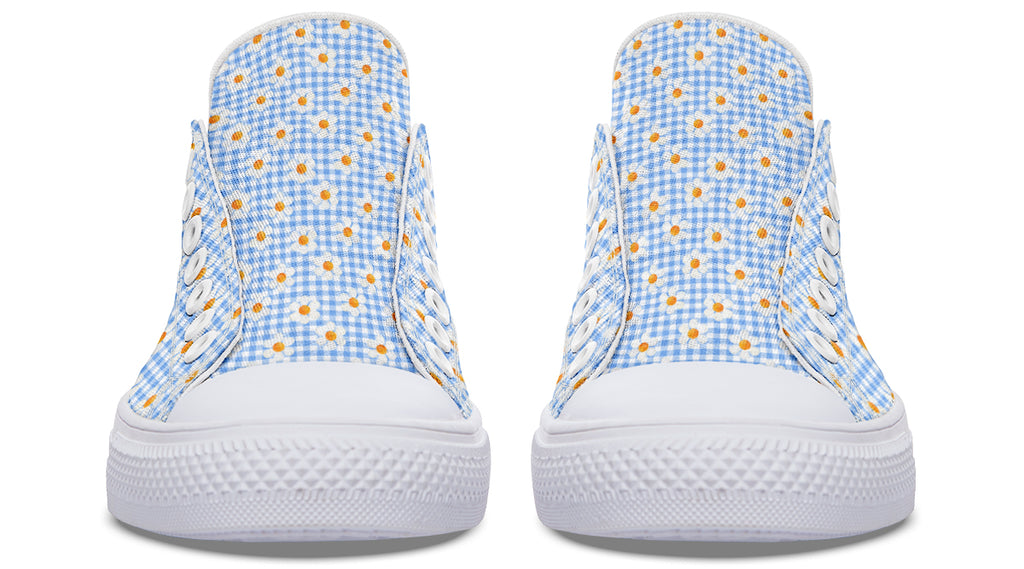 Painted Daisy Gingham