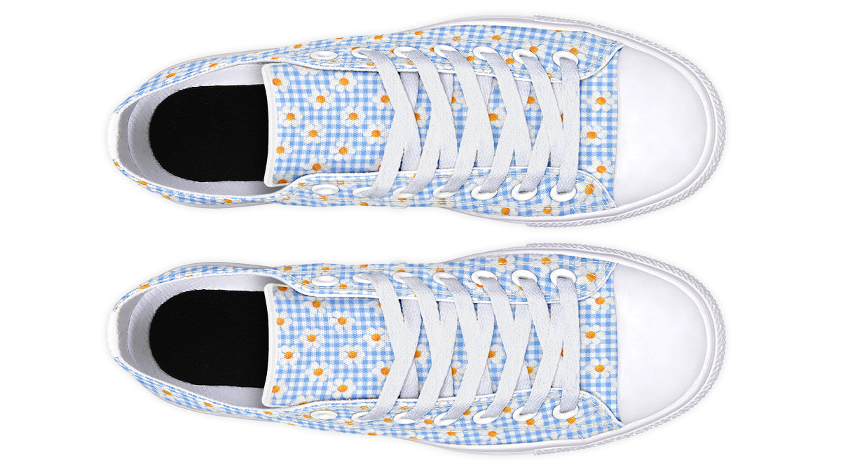 Painted Daisy Gingham