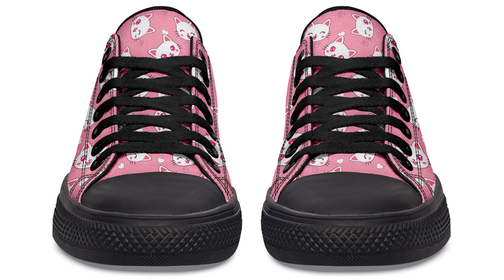 Pink Cat