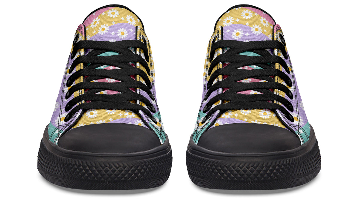 Rainbow Wave Daisies