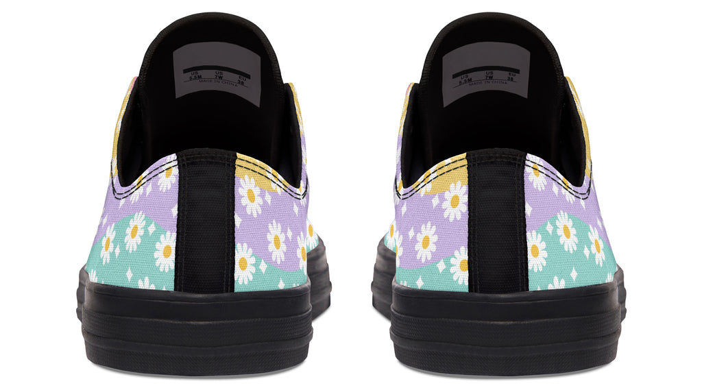 Rainbow Wave Daisies
