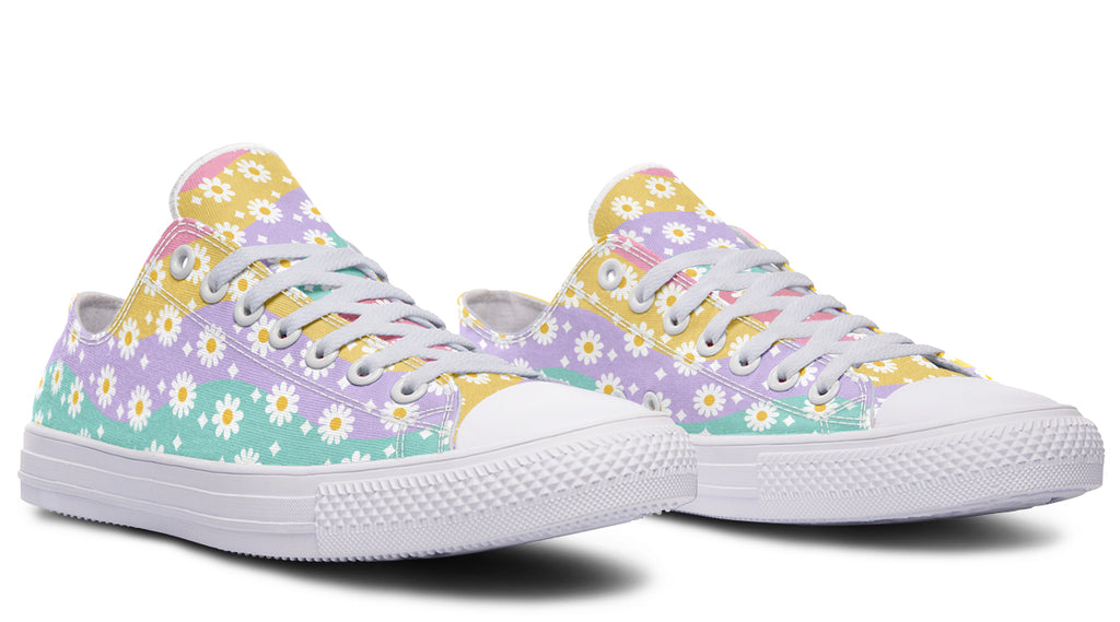 Rainbow Wave Daisies