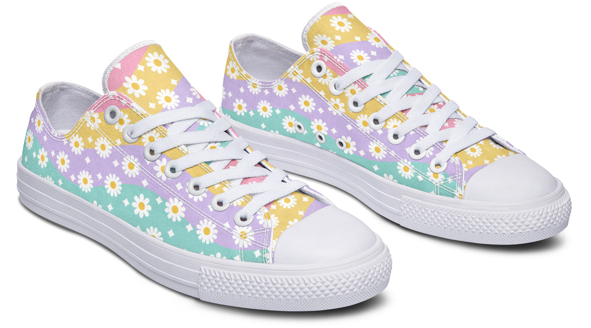 Rainbow Wave Daisies