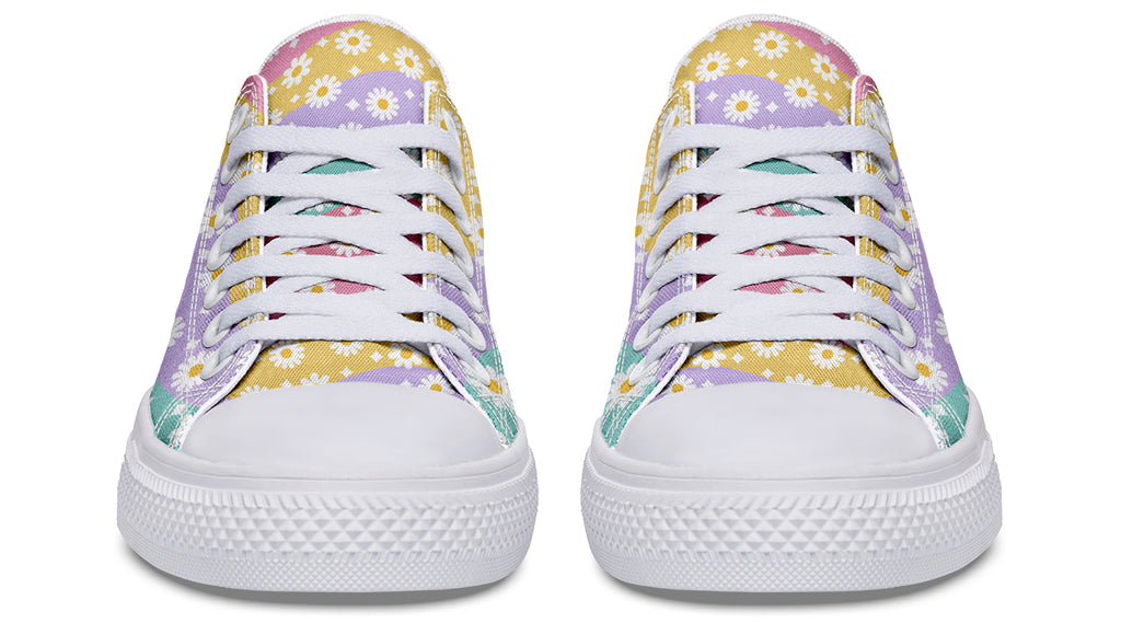 Rainbow Wave Daisies