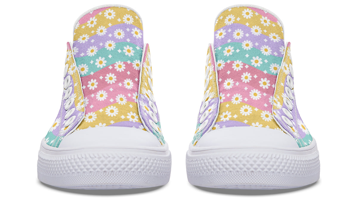 Rainbow Wave Daisies