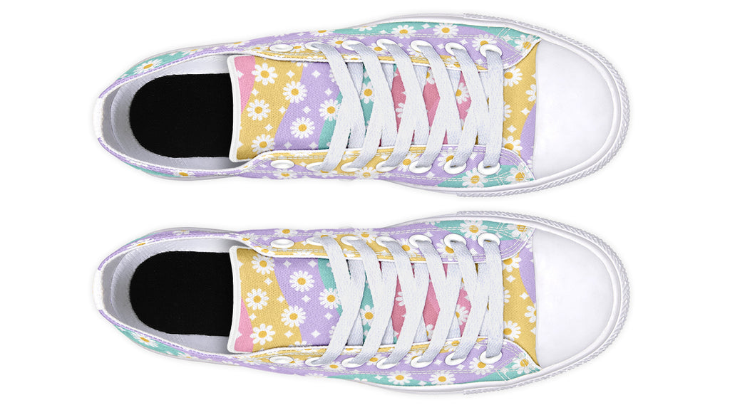 Rainbow Wave Daisies