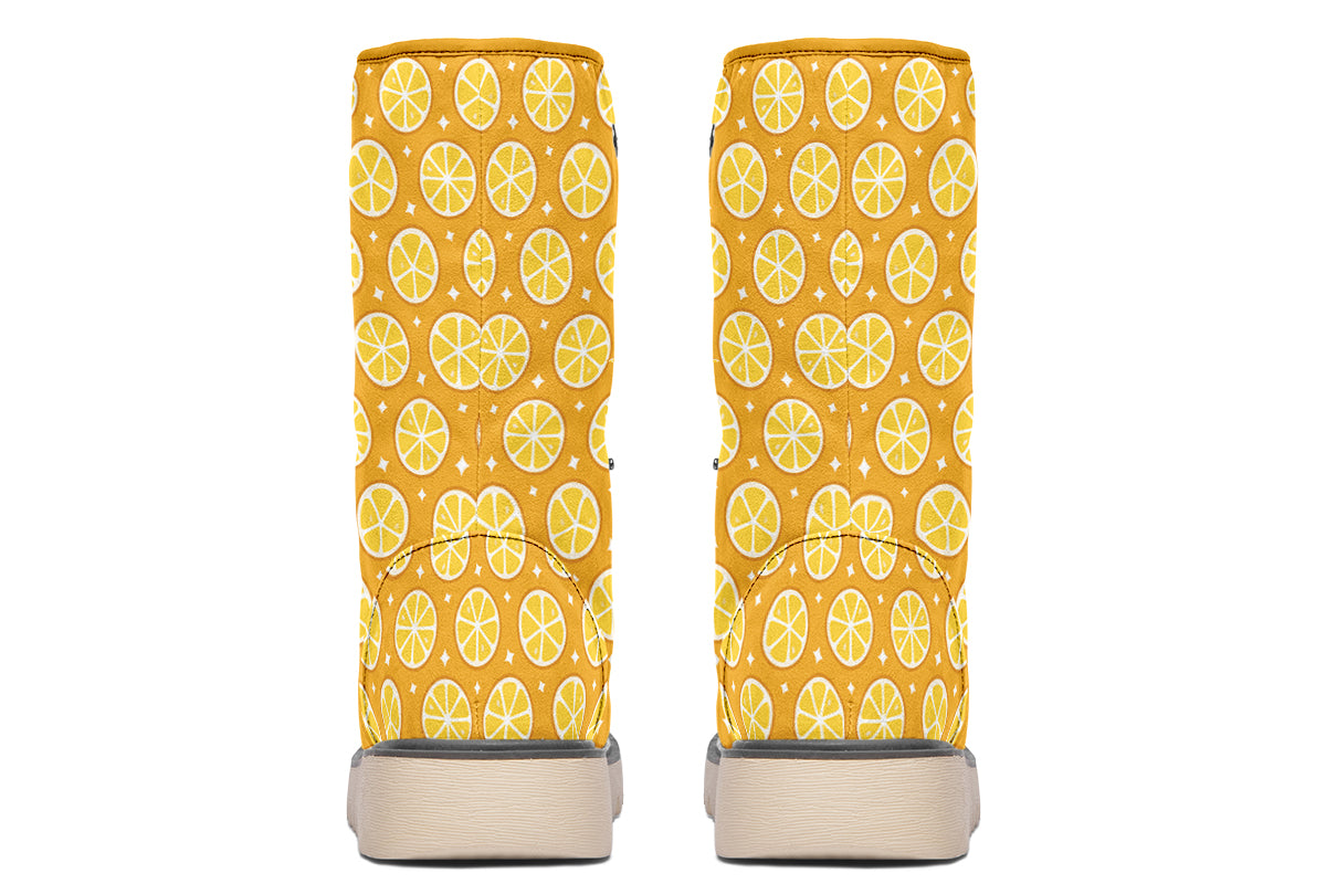 Lemon Slices