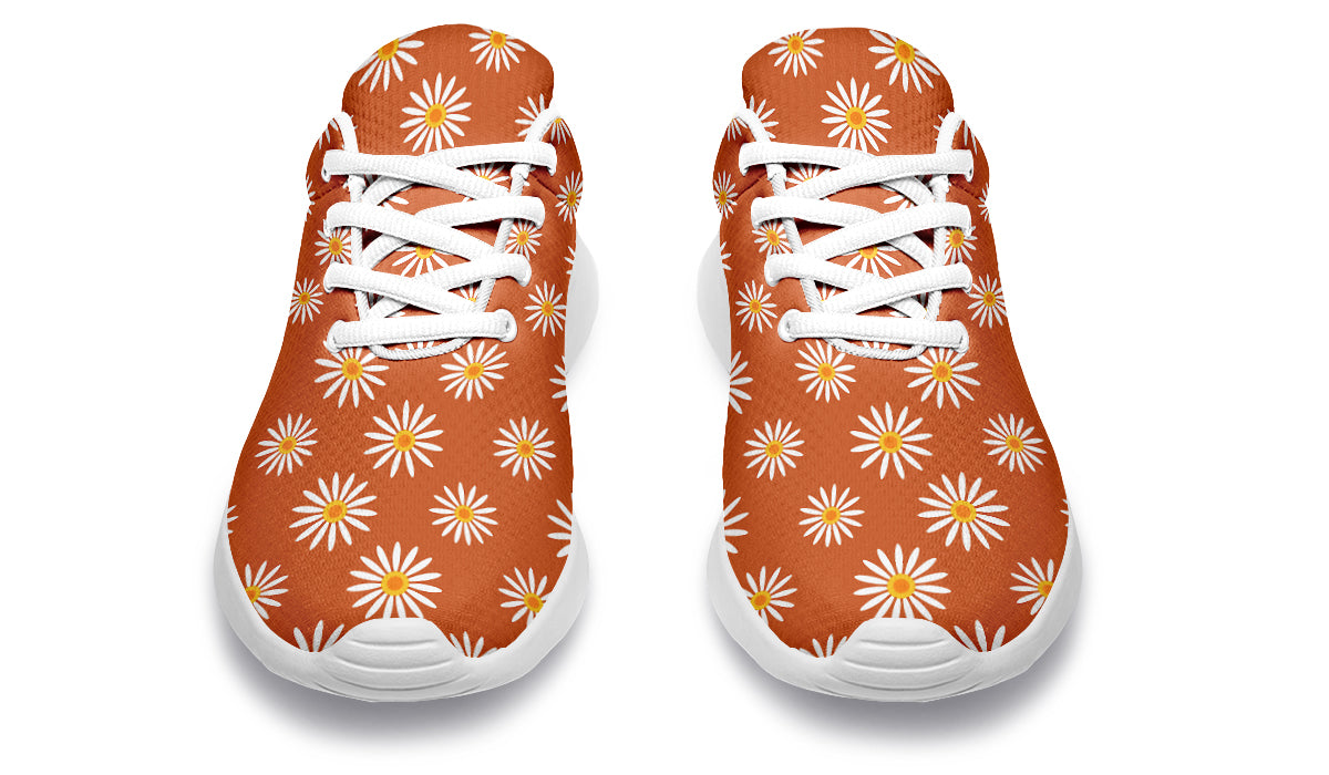 Daisies on Orange